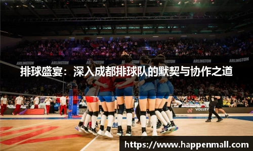 排球盛宴：深入成都排球队的默契与协作之道